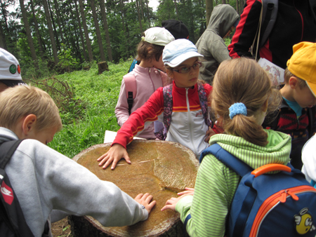 2AZalesnimistrasidylky (22)